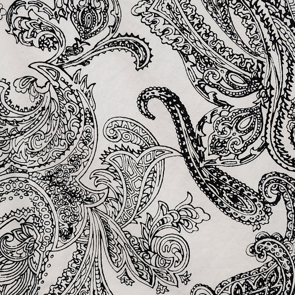 TALBOTS Blouse Womens Size 14 Black White Paisley Stretch Cotton Sateen Career - Picture 7 of 10